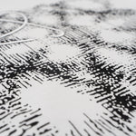 Printed T-Shirt: High-End Fashion Statement-1049