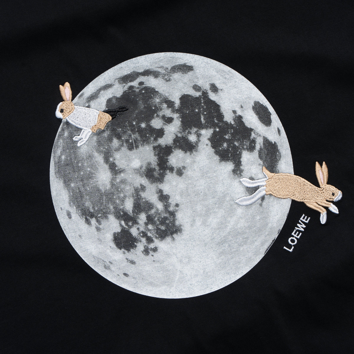 Printed T-Shirt: High-End Fashion Statement-1065