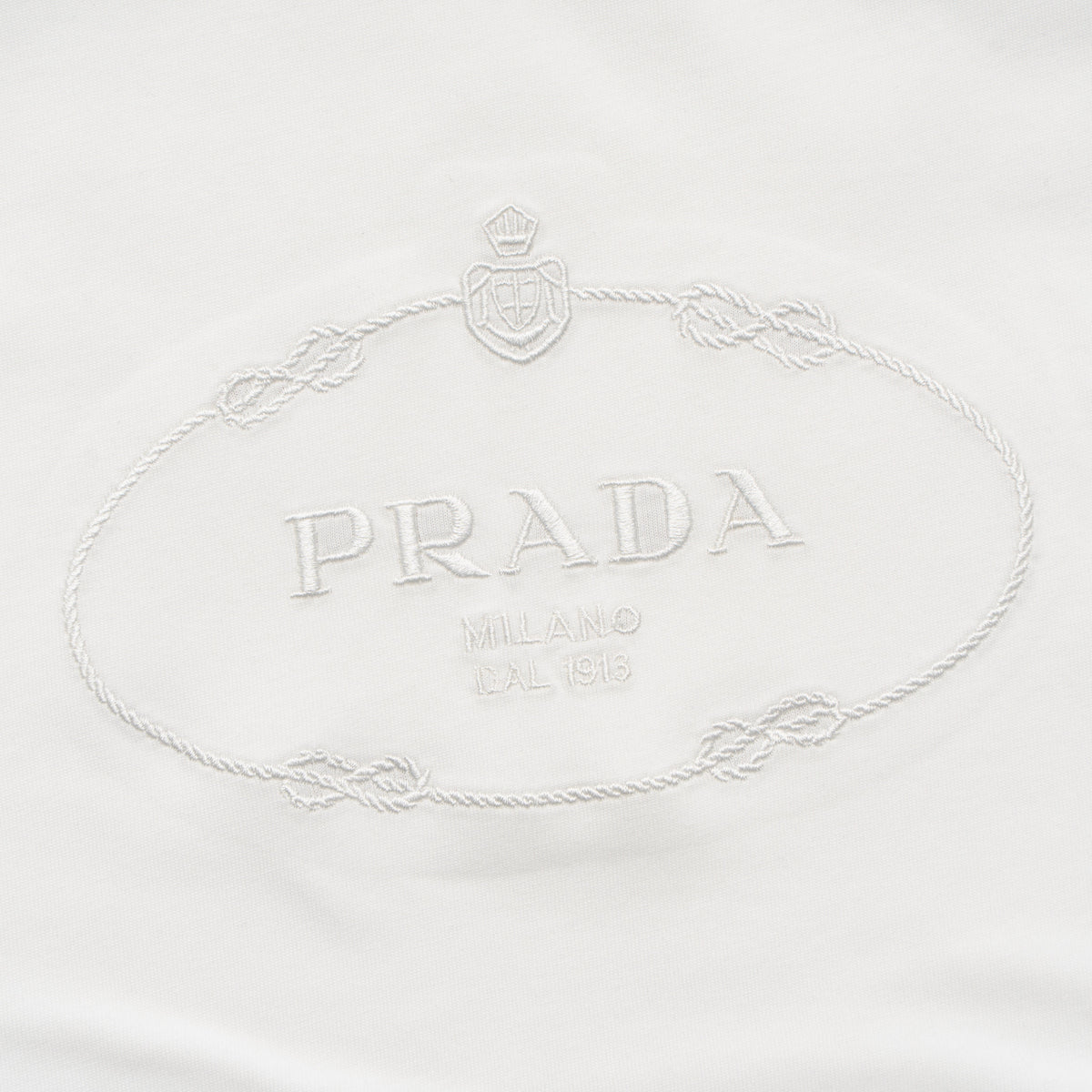 Printed T-Shirt: High-End Fashion Statement-1199