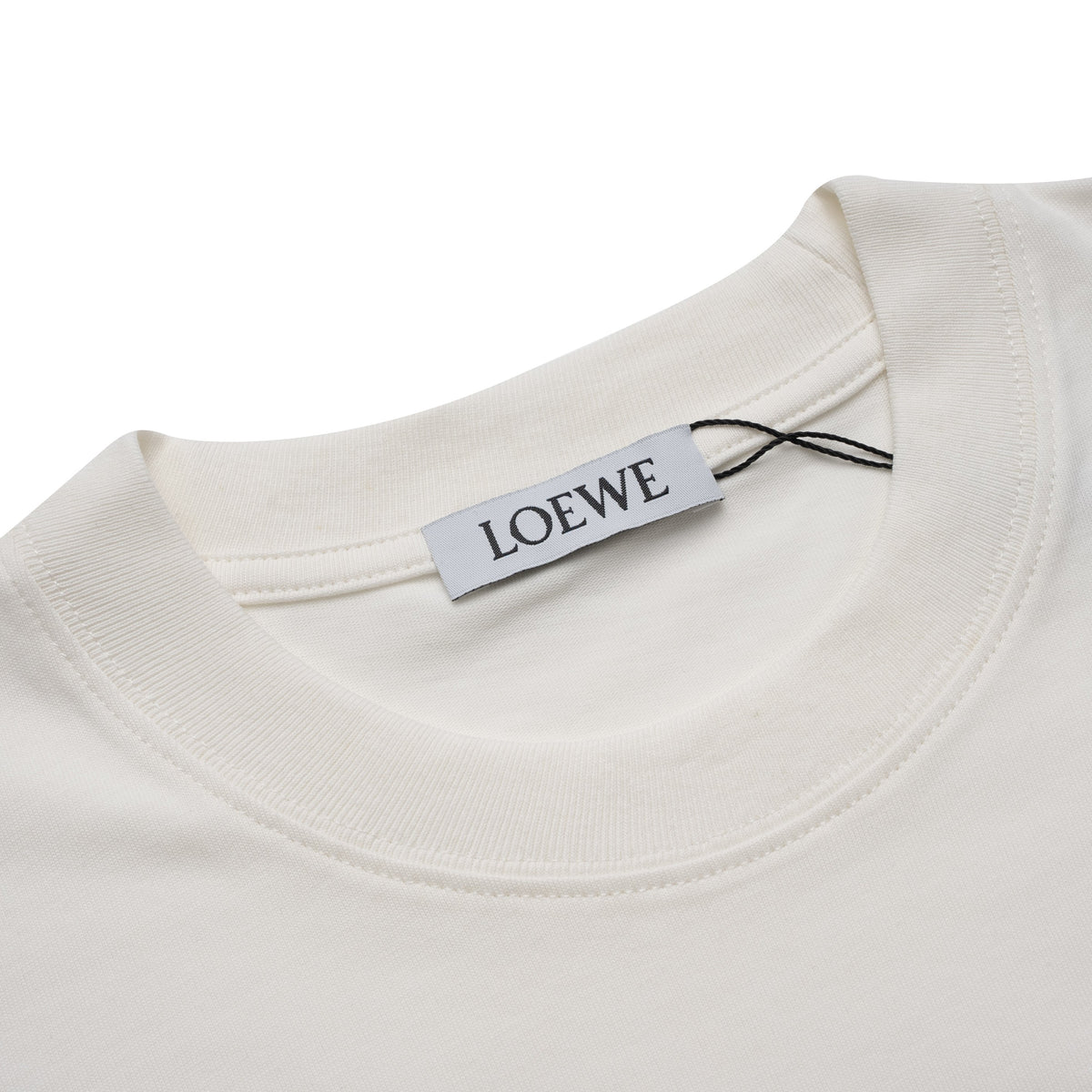 Printed T-Shirt: High-End Fashion Statement-1159