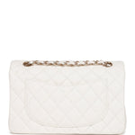 Exquisite leather bags-1469