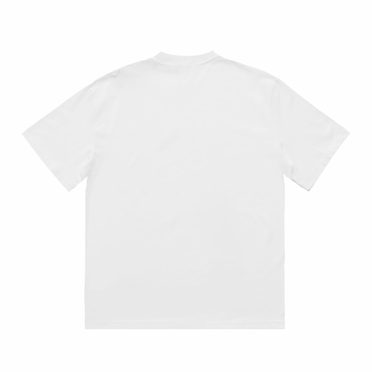 Printed T-Shirt: High-End Fashion Statement-1019