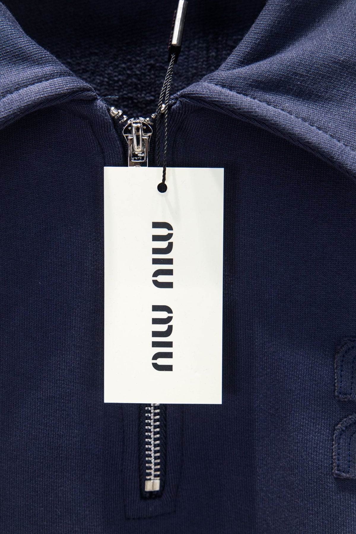 Classic Fit Hoodie-1011