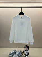 Classic Fit Hoodie-1037