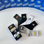 5-Pair Comfort Socks Set (1 BOX)-75