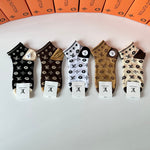 5-Pair Comfort Socks Set (1 BOX)-142