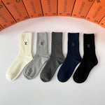 5-Pair Comfort Socks Set (1 BOX)-164