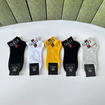5-Pair Comfort Socks Set (1 BOX)-178