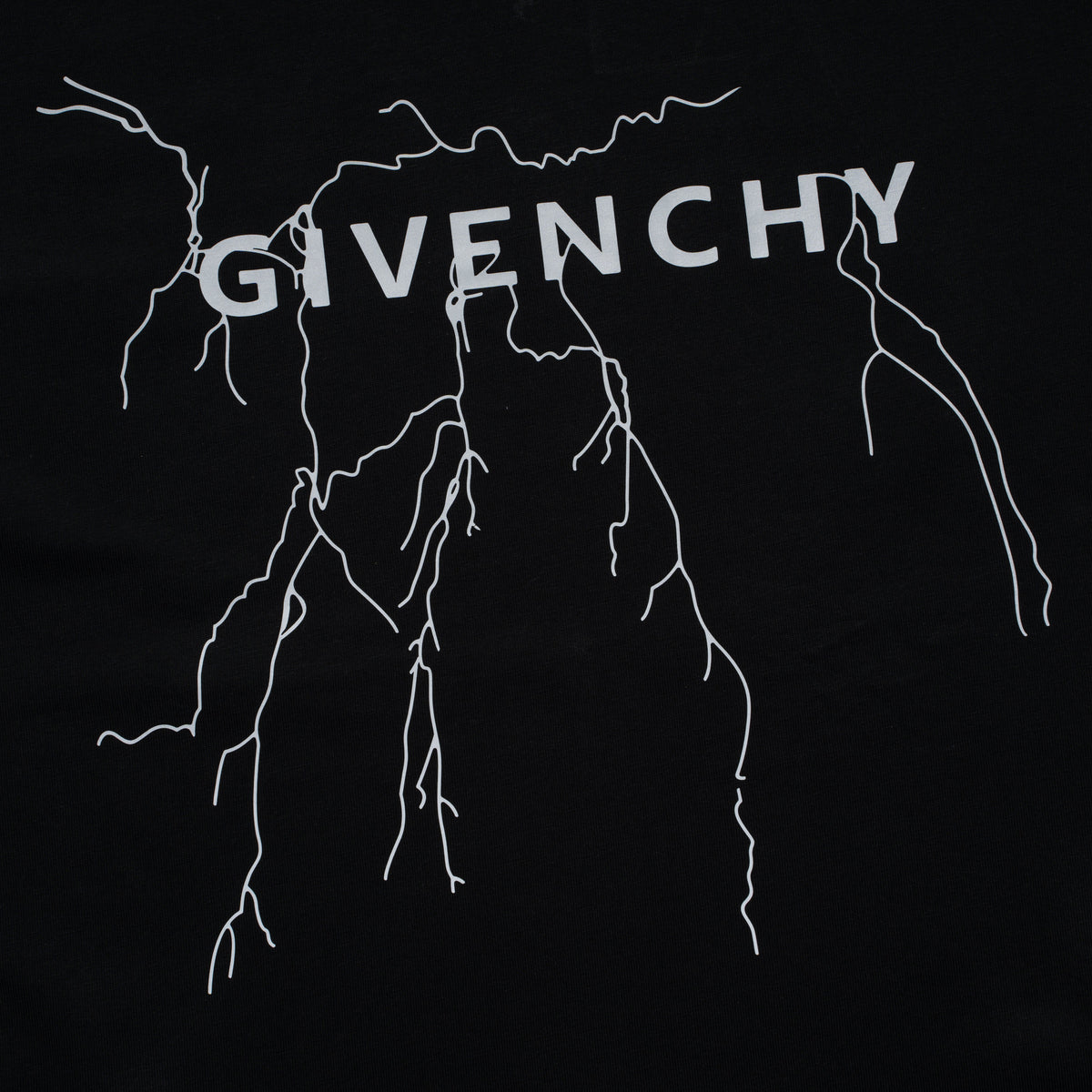 Printed T-Shirt: High-End Fashion Statement-1110