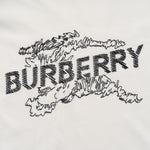 Printed T-Shirt: High-End Fashion Statement-1184