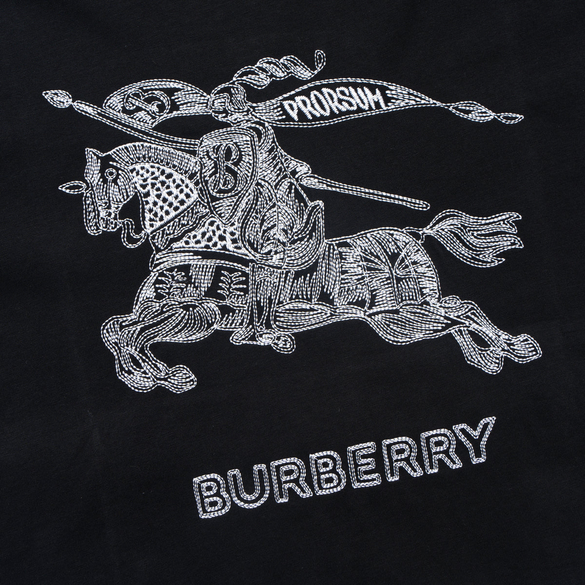 Printed T-Shirt: High-End Fashion Statement-1187