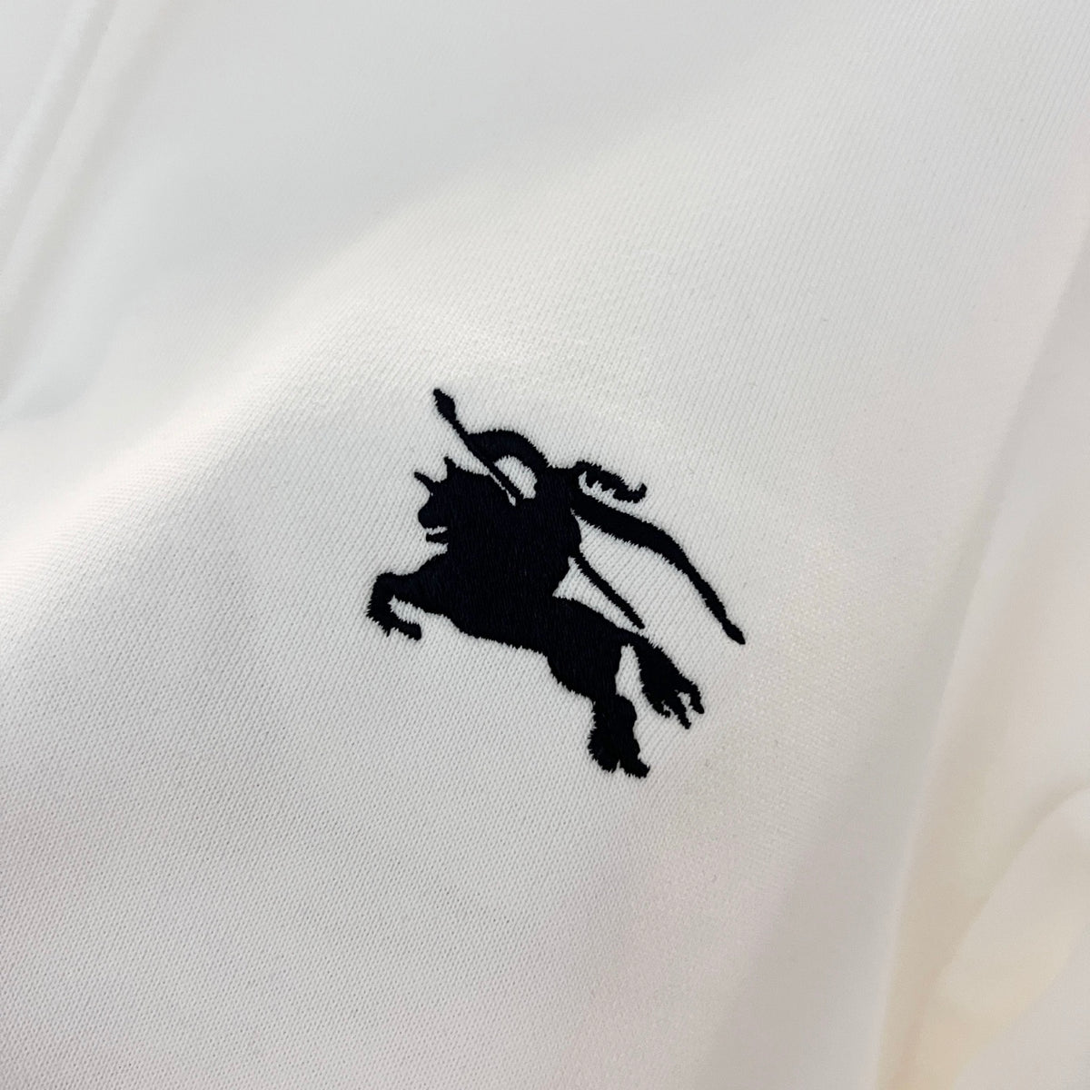 Classic Fit Hoodie-1049