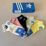 5-Pair Comfort Socks Set (1 BOX)-70